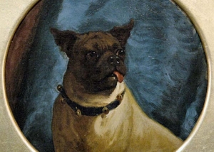 George Earl - Pug With A Freemason Collar