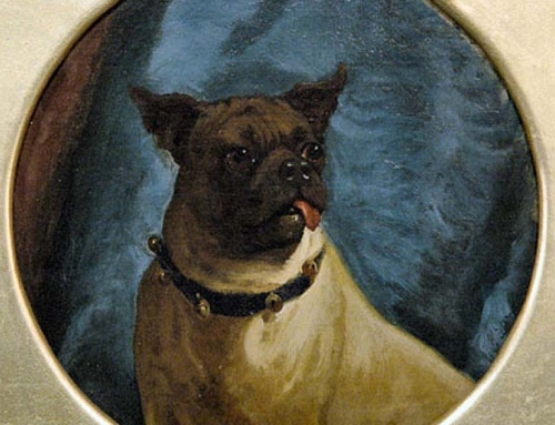 George Earl – Pug With A Freemason Collar