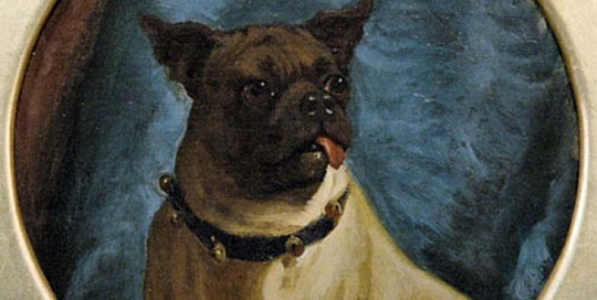 George Earl - Pug With A Freemason Collar