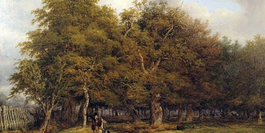 Thomas Baker - Packington Woods